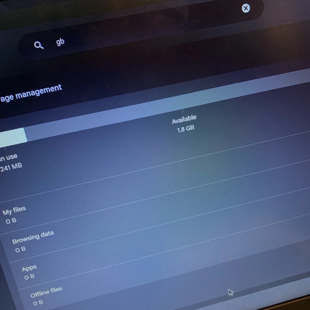 Acer Chromebook - Silver